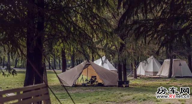 1635077048795366.jpeg 5.jpeg