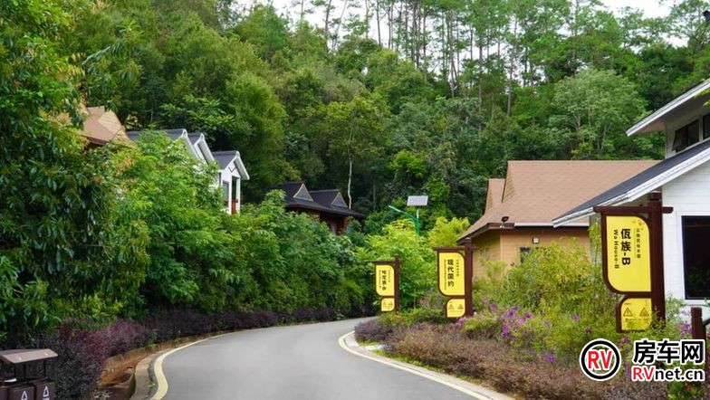 美好生活在云南 | 旅居＋康养 住在森林探秘境