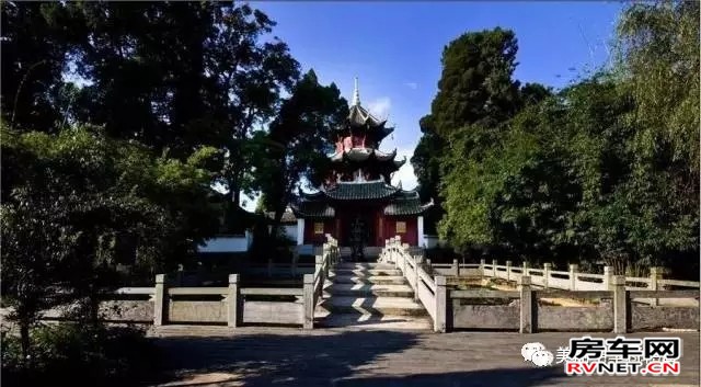 房车网