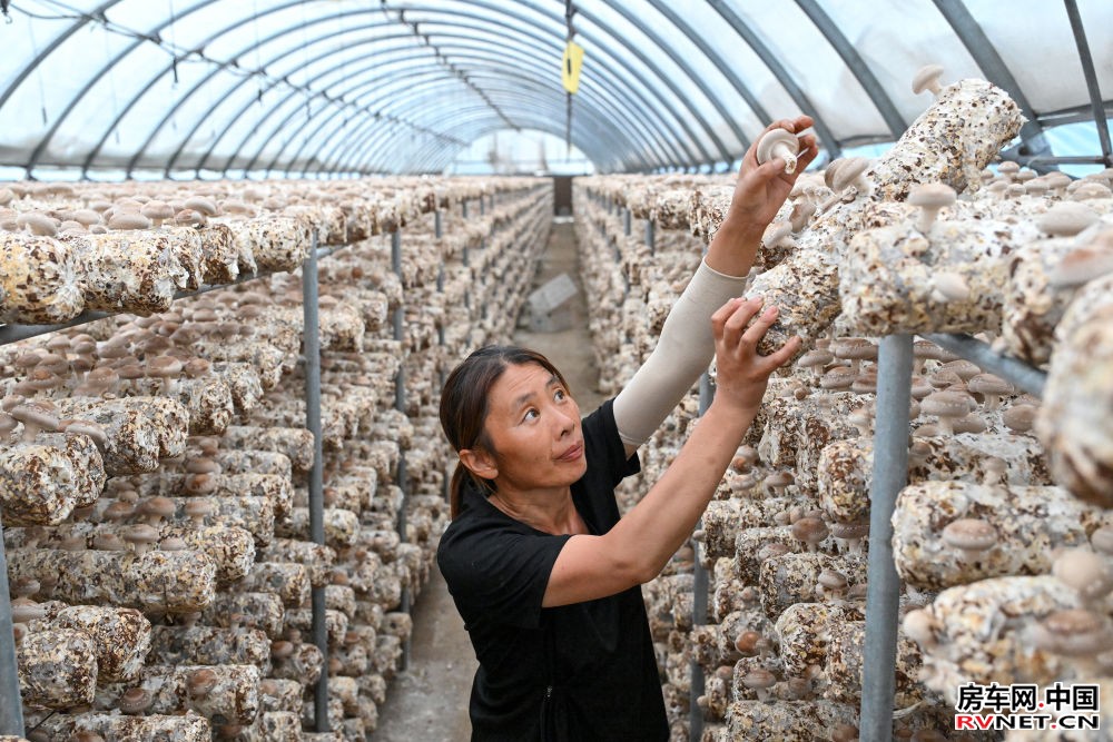 铭记历史 缅怀先烈｜从“红色堡垒”到“幸福山乡”——晋察冀根据地首府阜平振兴观察
