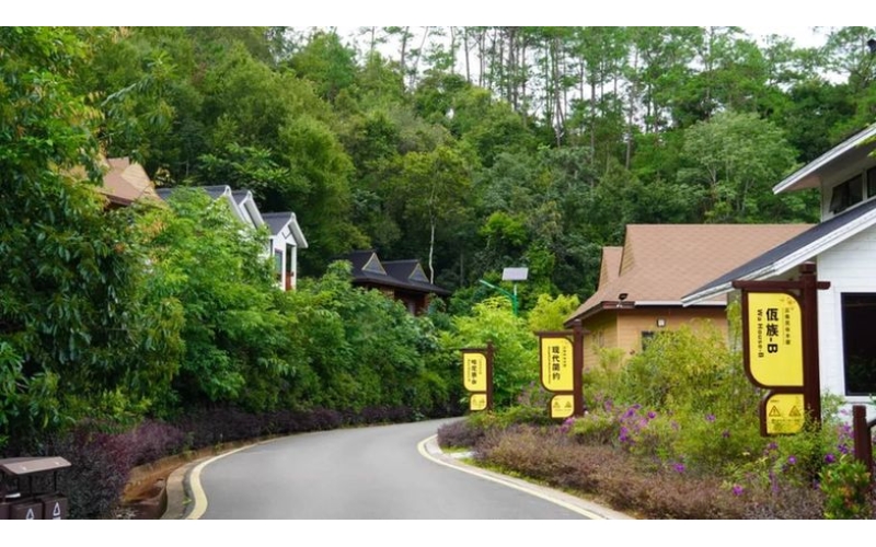 美好生活在云南 - 旅居＋康养 住在森林探秘境