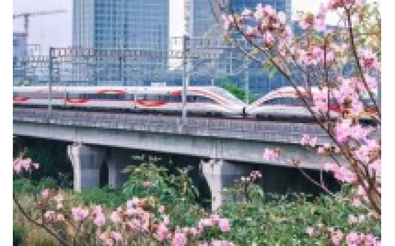 创历史同期新高 一季度全国铁路发送旅客超10亿人次