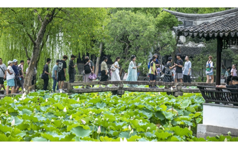 暑期旅游高峰来临：亲子家庭是出游主力军，大学生&ldquo;特种兵式&rdquo;旅游热度下降