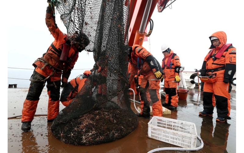 探寻北极海底世界的奥秘