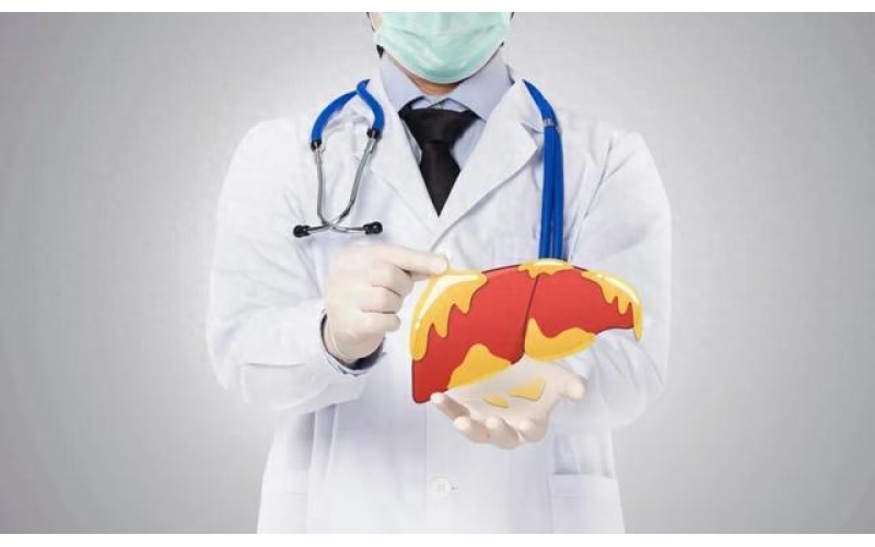别拿&ldquo;脂肪肝&rdquo;不当回事！全国每3人中就有1人中招