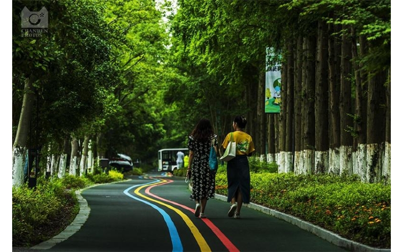 图片：来浙江嘉善大云镇，度过一个被爱包围的假期