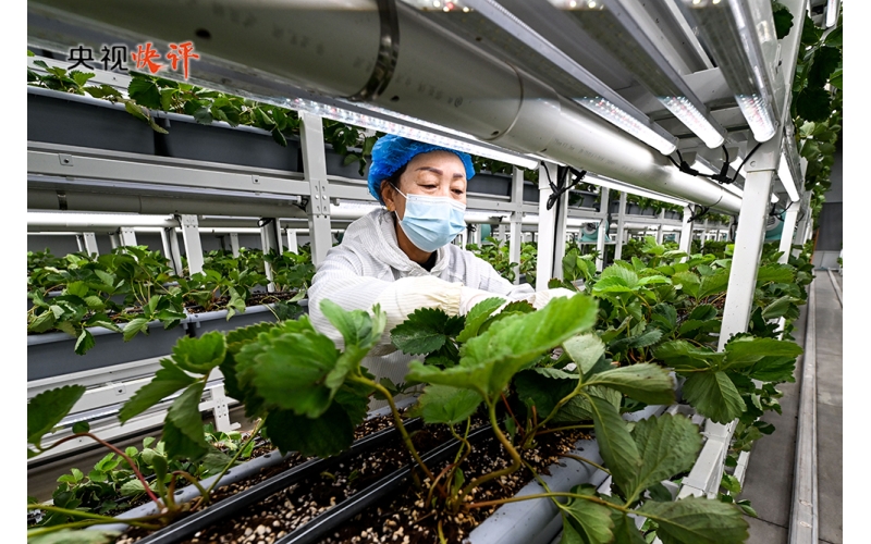 中国商务部：引导产供链合理有序跨境布局