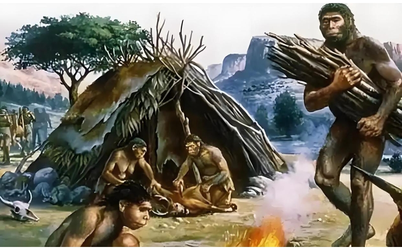 食肉动物对血腥味很敏感，那人类祖先来月经时如何生存？